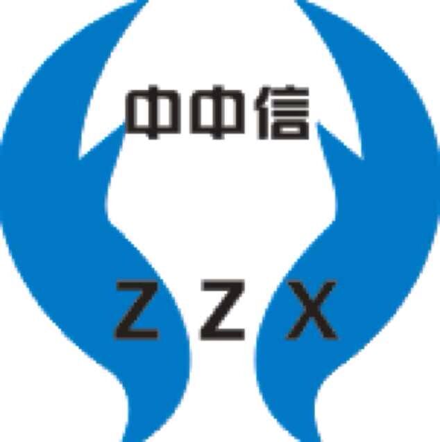 重慶中中信商務(wù)咨詢有限公司委托我司建站